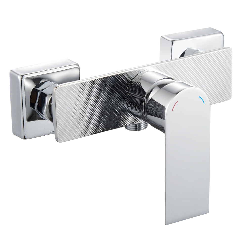 ওয়াল-মাউন্ট করা ডাবল-কন্ট্রোল ঝরনা কল